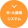 中・大規模システム